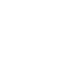 feature-item-1